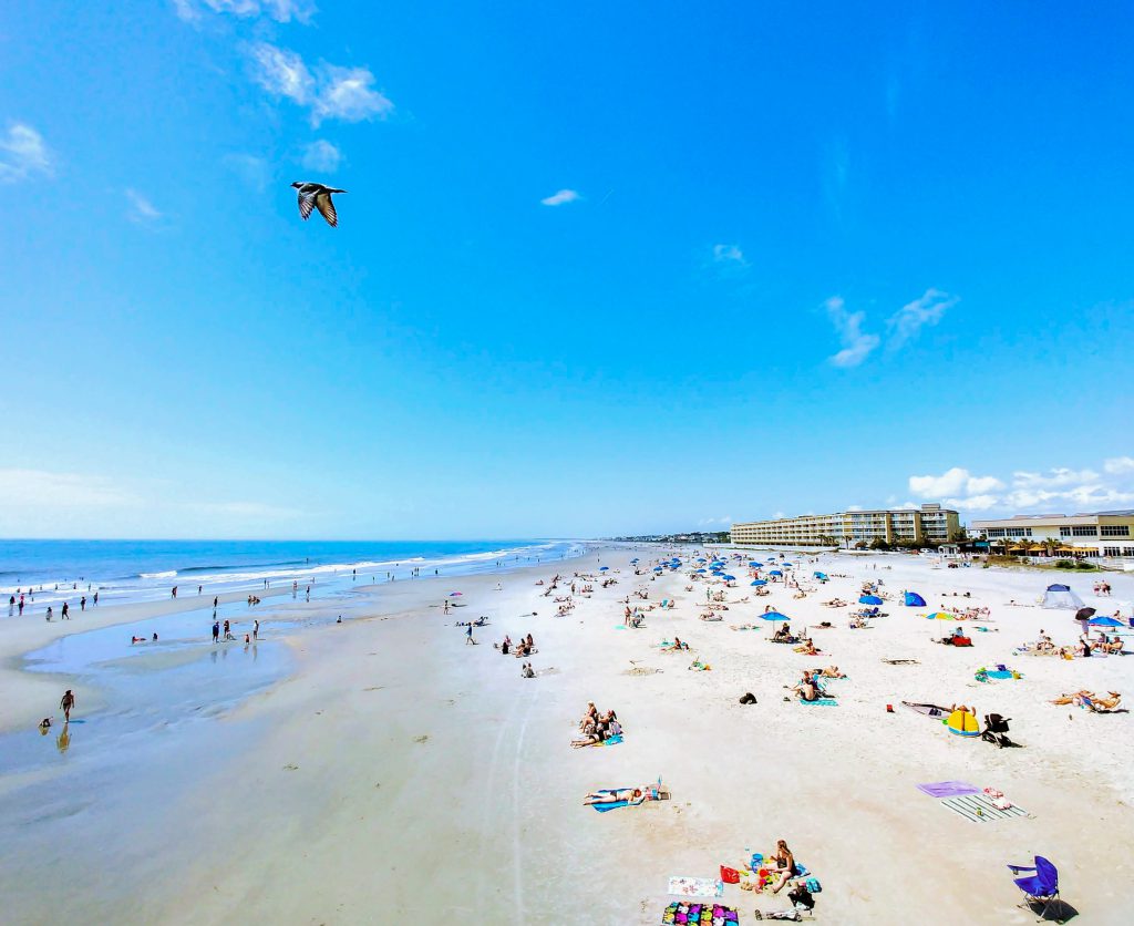 A view of Folly Beach with people on the beach and a seagull flying by | Folly beach, Folly Island, Charleston, South Carolina, USA 2018