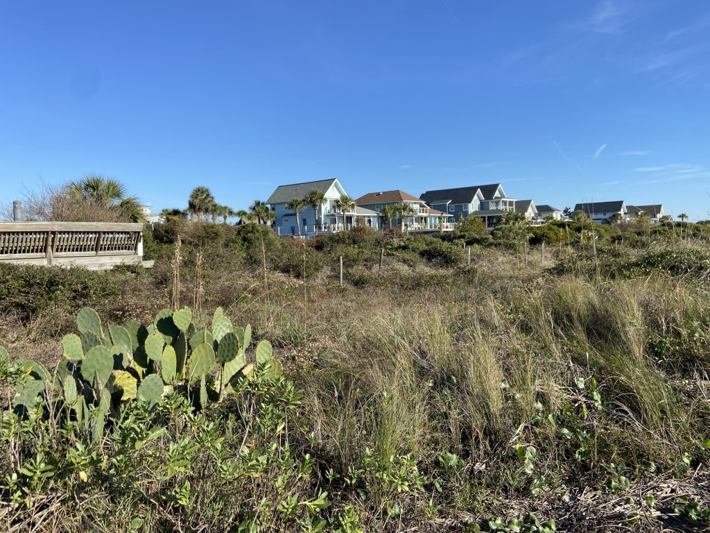 Homes on Isle of Palms, South Carolina