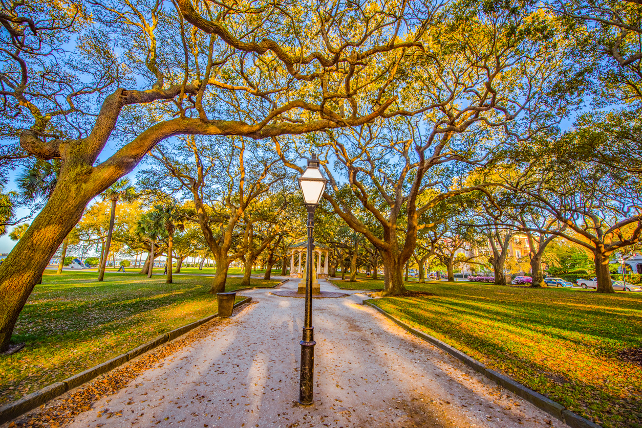 The Battery in Charleston, South Carolina, USA. during the fall months, leaves falling to the ground